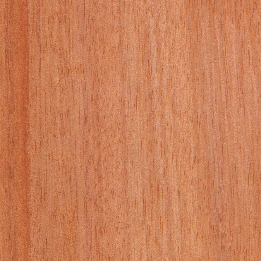okoumé - Woods